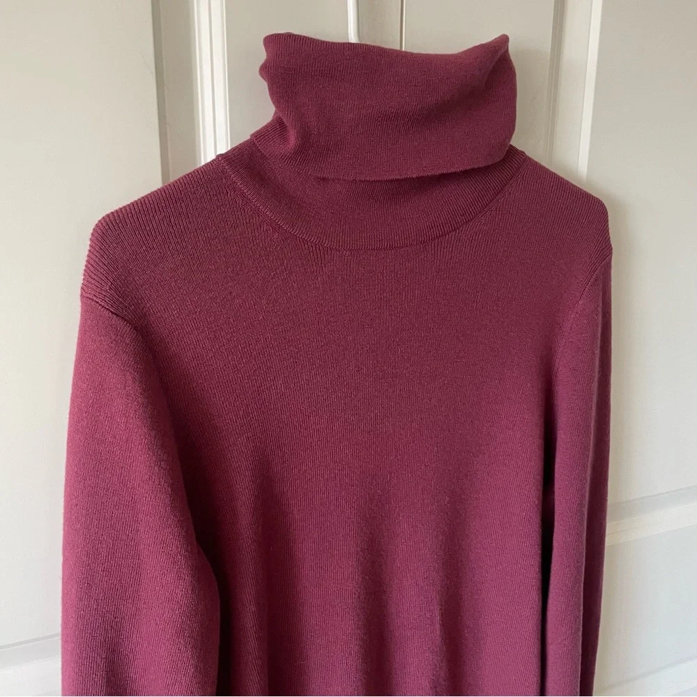 Aritzia Wilfred Rebecca Frosted Plum Purple Knit Turtleneck Long Sleeve Dress - Picture 5 of 13